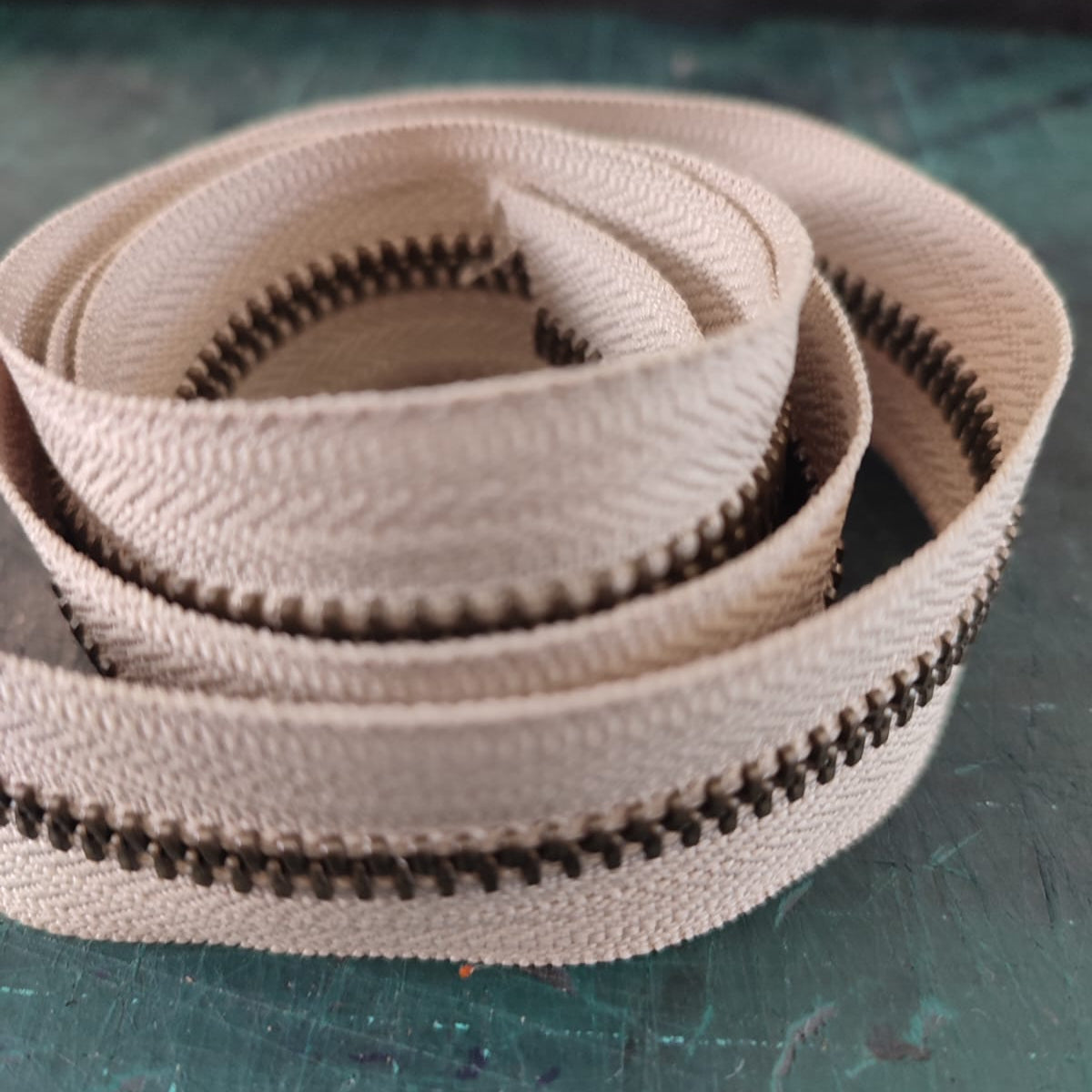 Beige antique brass zip, Type 5 - Almost a meter