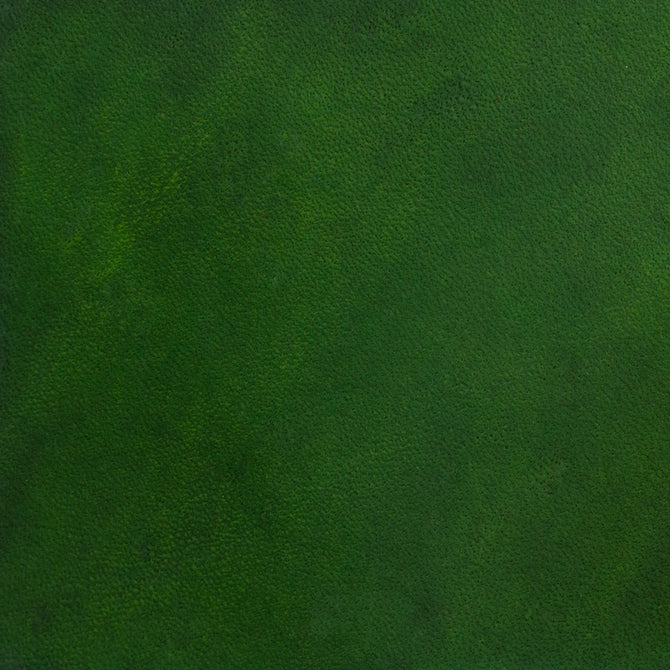 Fiebing's LeatherColors - (Various Colours)