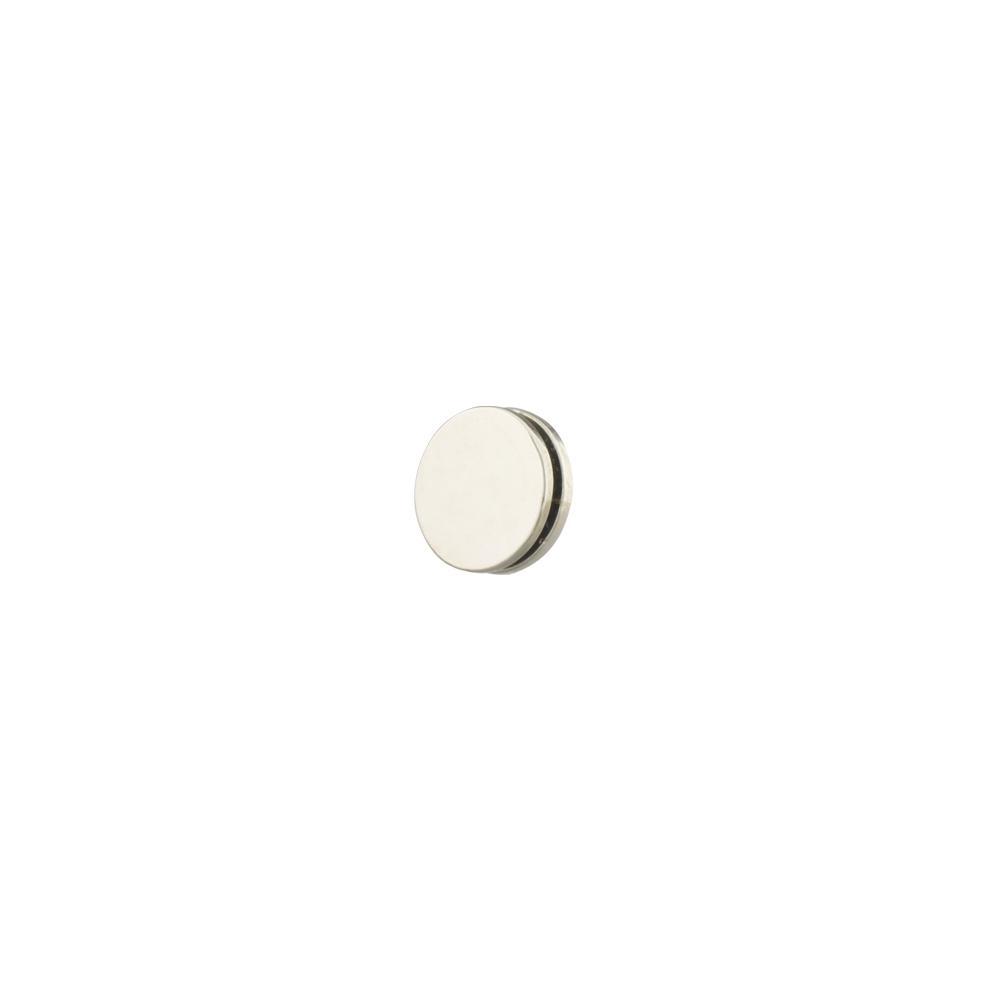 Super Strong Disk Magnets (Pack of 2)